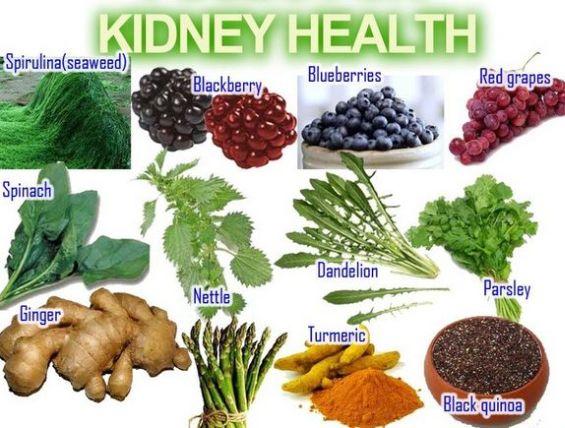 herbal cure for kidney stones