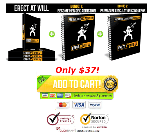 Download Erect At Will PDF