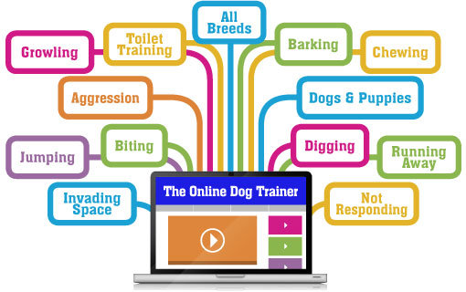 doggy dan's online dog trainer review