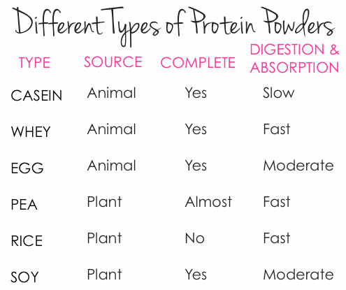 whey protein vs casein protein