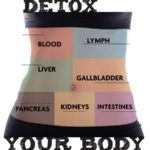 benefits of body detox