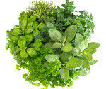 herbs benefits