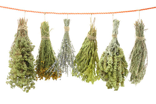 healing herbs list