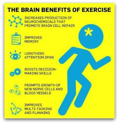 exercise helps brain health