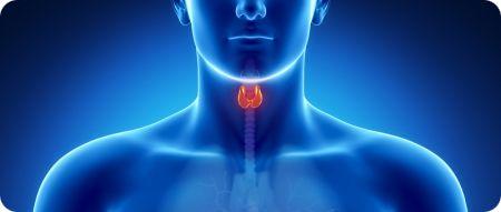how to improve thyroid health