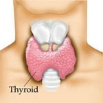 ways to boost thyroid health