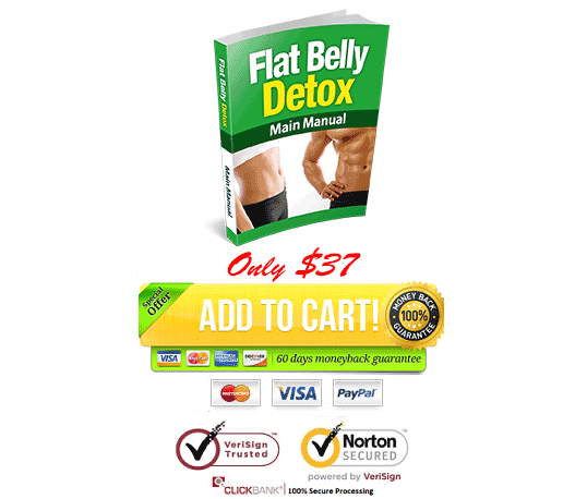 Download Josh Houghton's Flat Belly Detox PDF