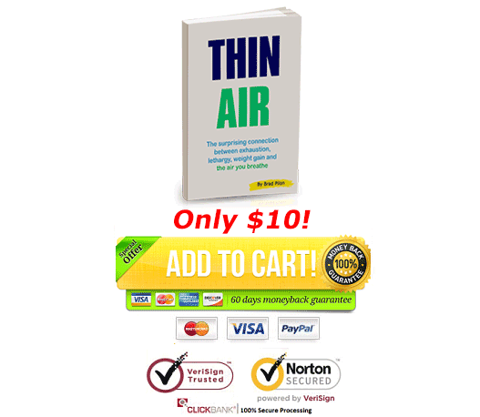 download thin air PDF