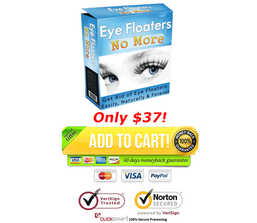download eye floaters no more PDF