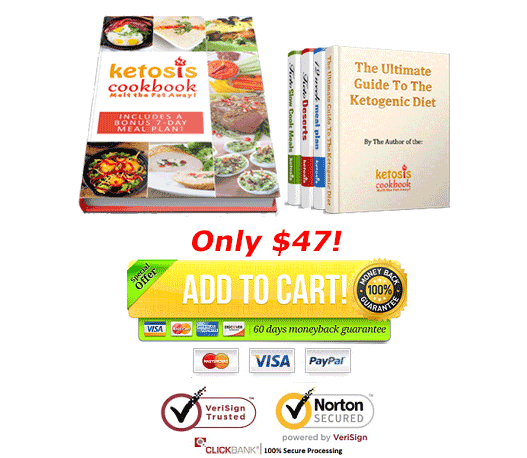 download ketosis cookbook PDF