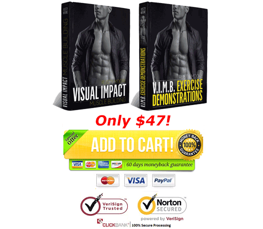 download Visual Impact Muscle Building PDF