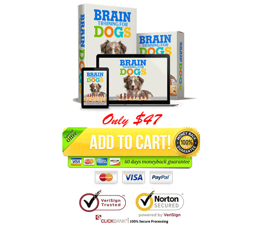 Download Brain Training For Dogs PDF