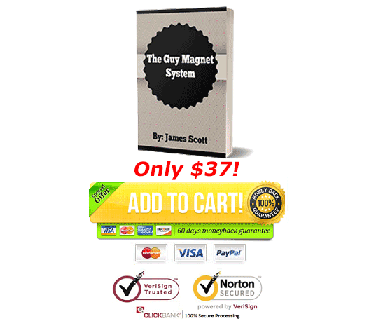 Download The Guy Magnet System PDF